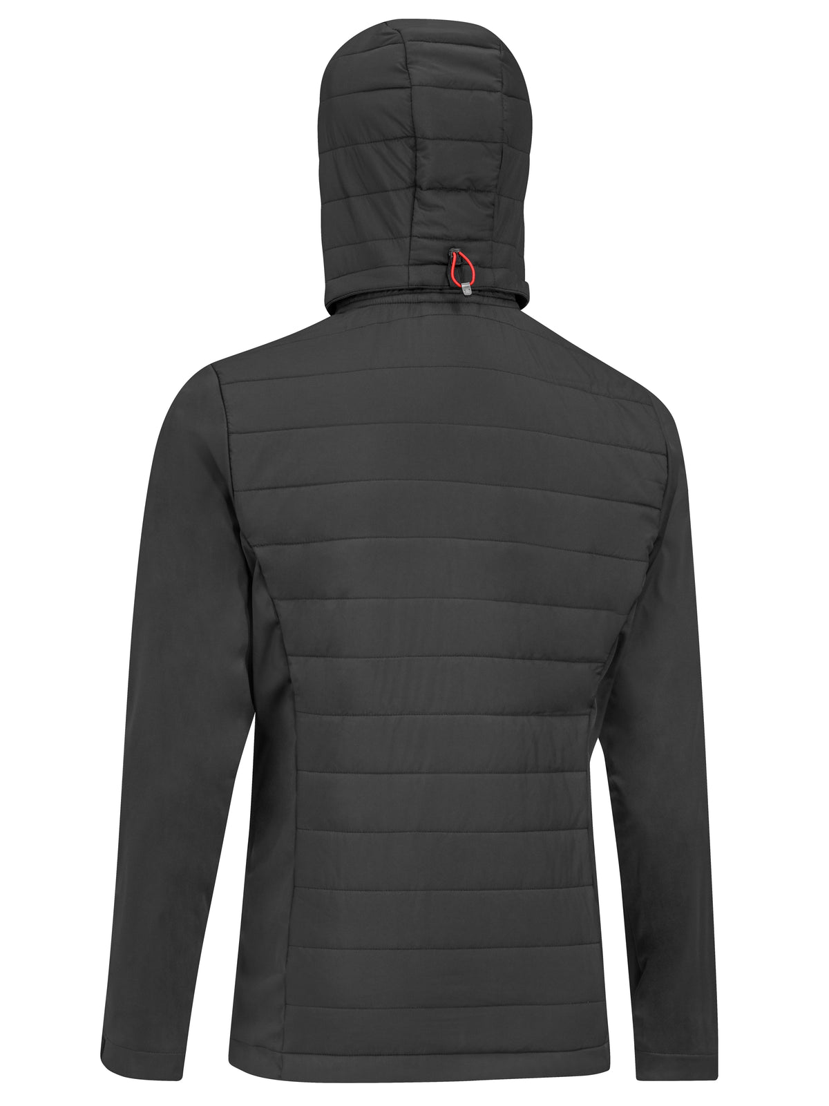 Veste hybride AMG homme